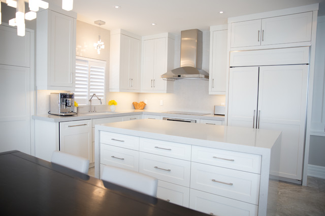 Kitchen 8 transitional-kitchen