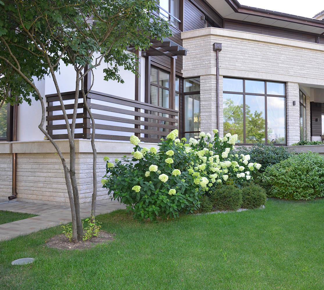 Современный сад в КП "Бенелюкс" вилла 1