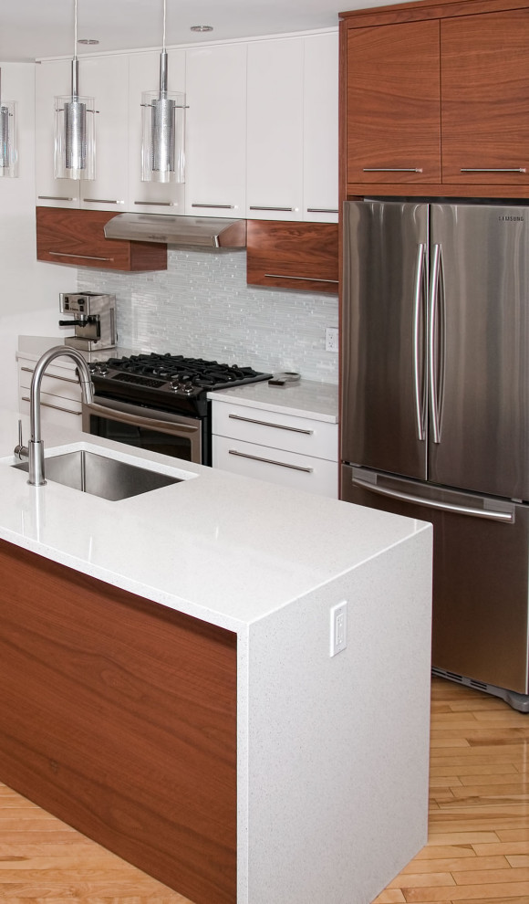 Kitchen - contemporary kitchen idea in Ottawa