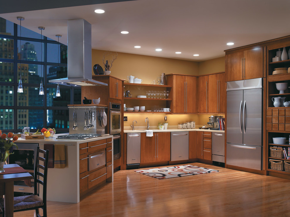 Kitchen - transitional kitchen idea in Miami