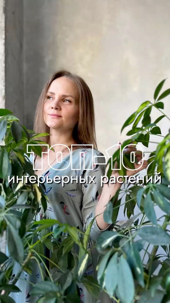 2861722885750685583.mp4