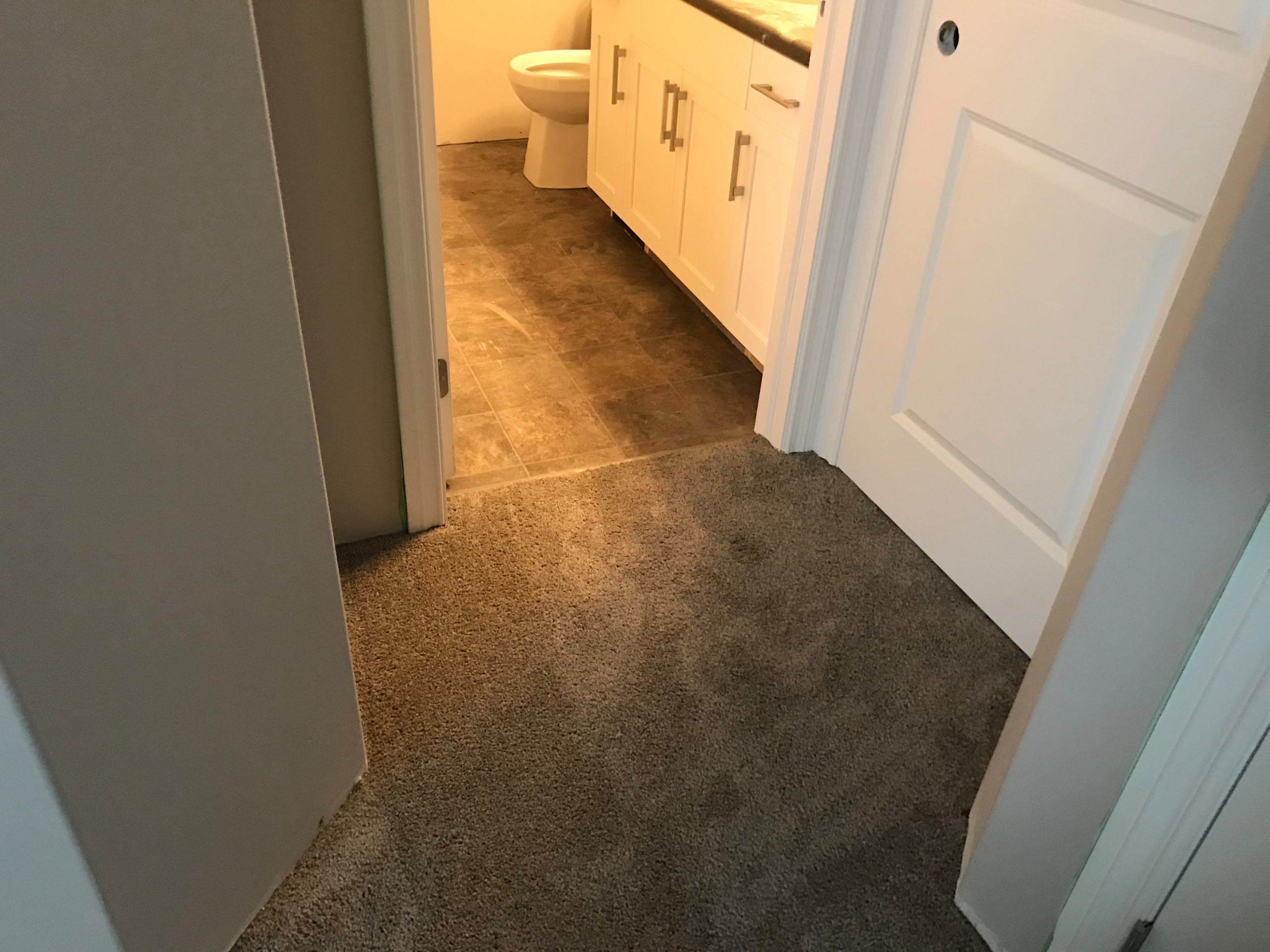 Carpet