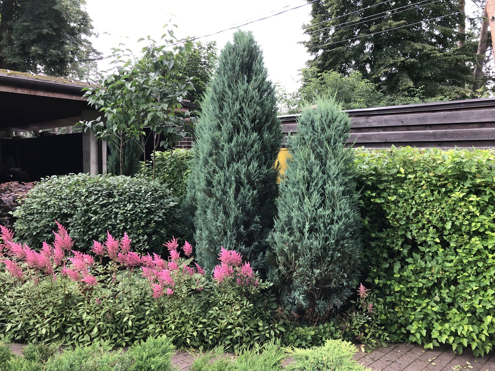 Сад в поселке Салтыковка