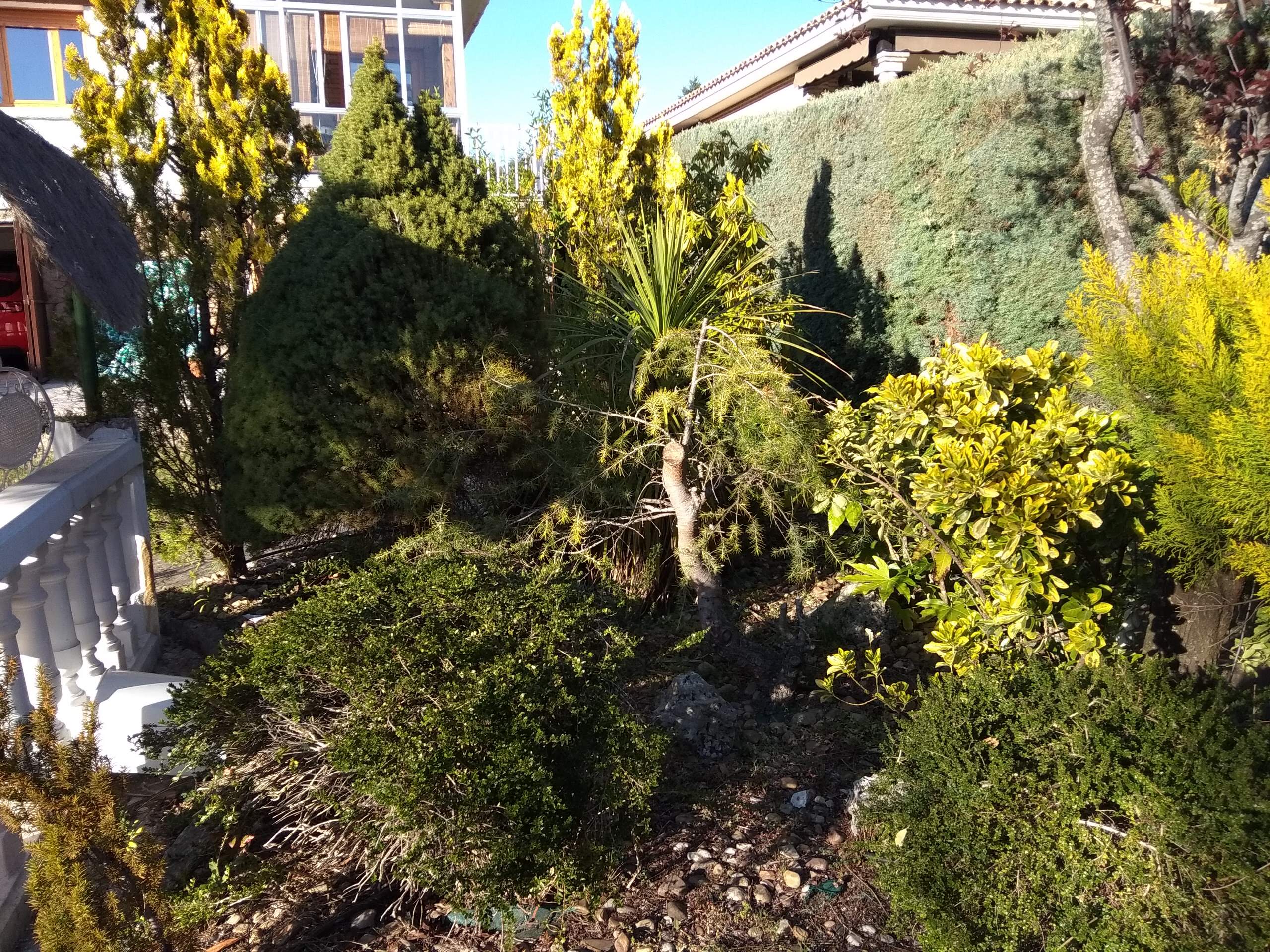 Jardín Zem en la montaña