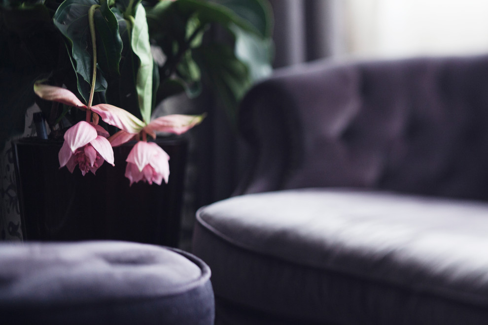 частная квартира в жилом комплексе Доминион