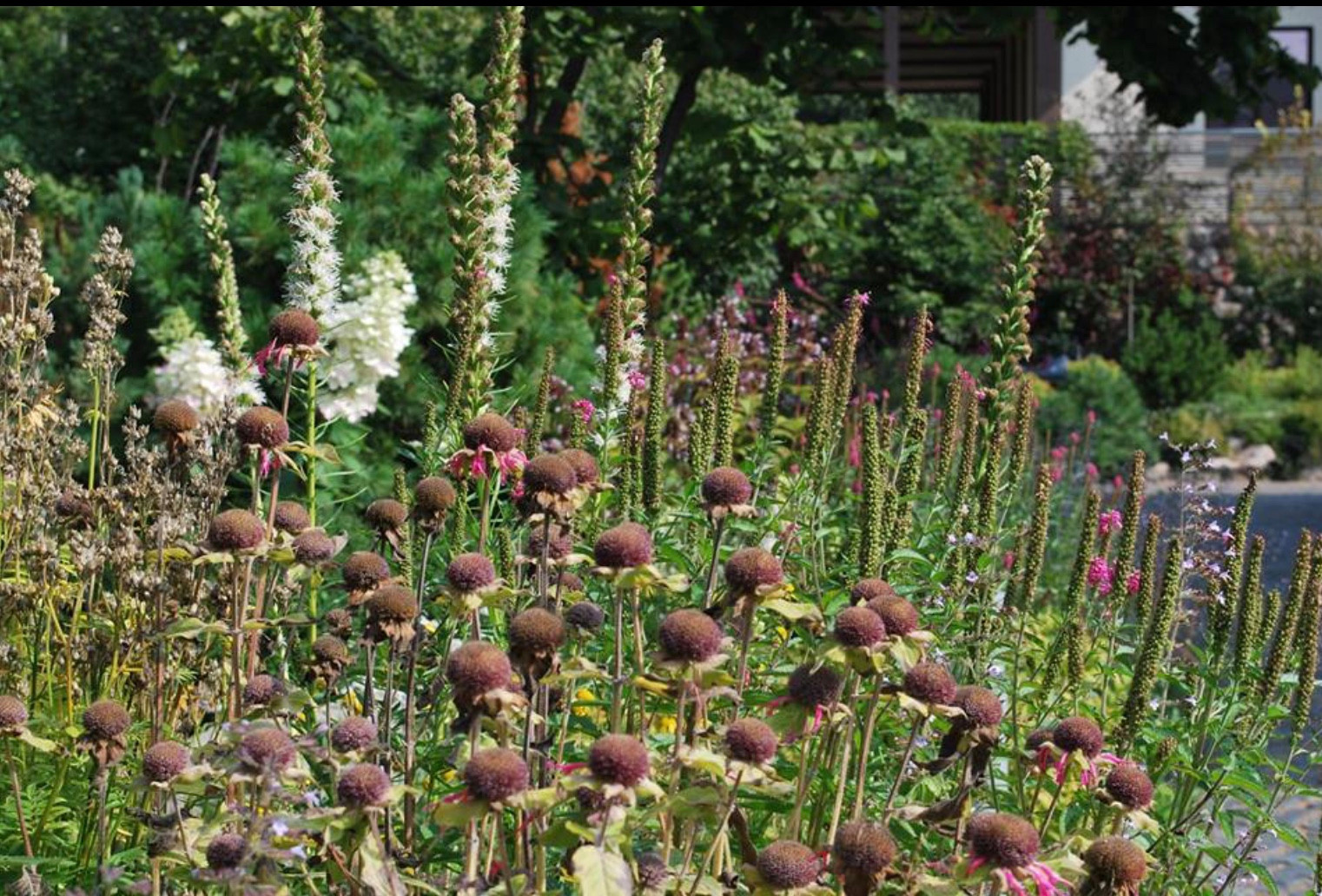 Сад натуралистического стиля