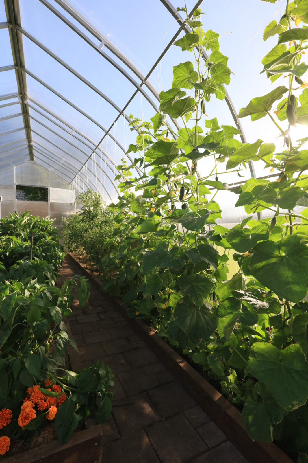 Равновесие