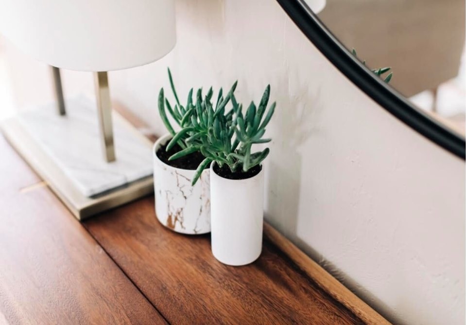 Must-Book AirBnb | Cherry Creek, CO | Boho Destination Renovation