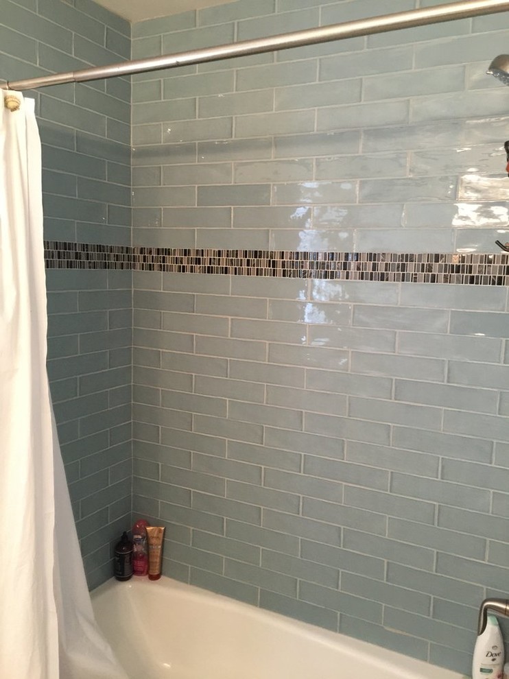 Transitional alcove shower photo in Miami with blue walls