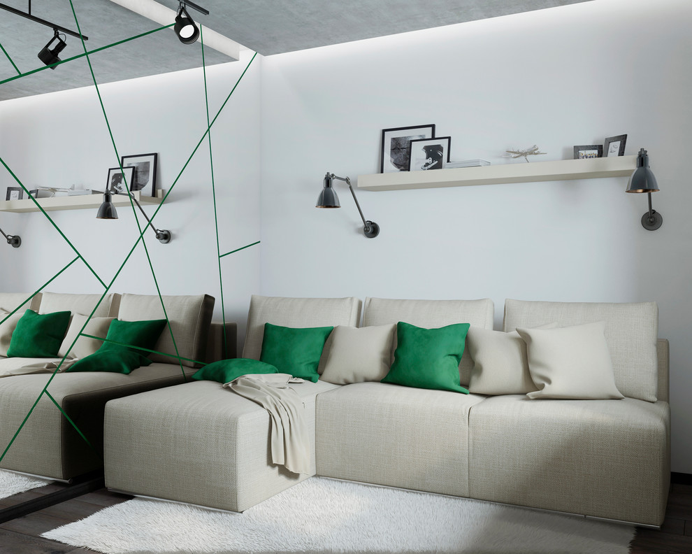 Проект однокомнатной квартиры для молодого человека.