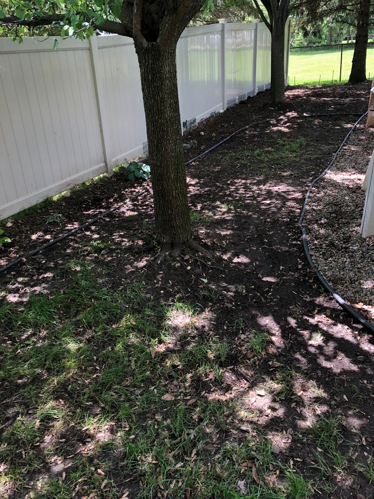 Too shady for grass area... help!