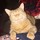 ticky_toots