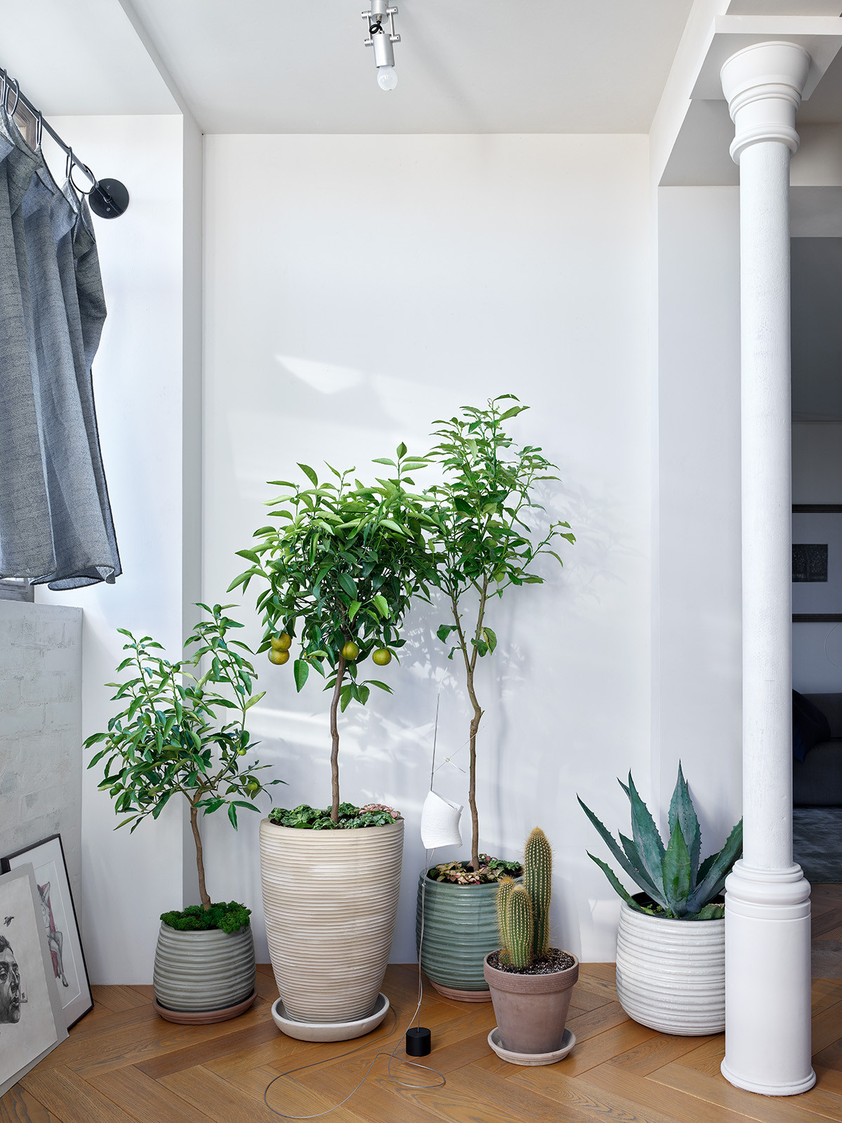 Квартира 78 кв. метров в Краснодаре для молодого ученого