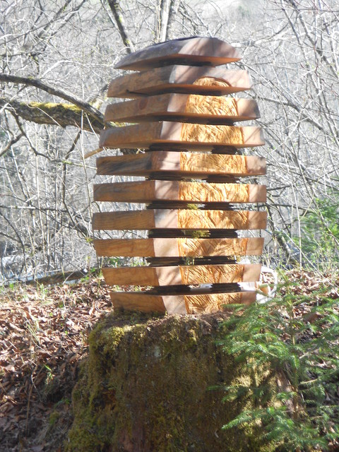 Grain de bois campagne-photographie