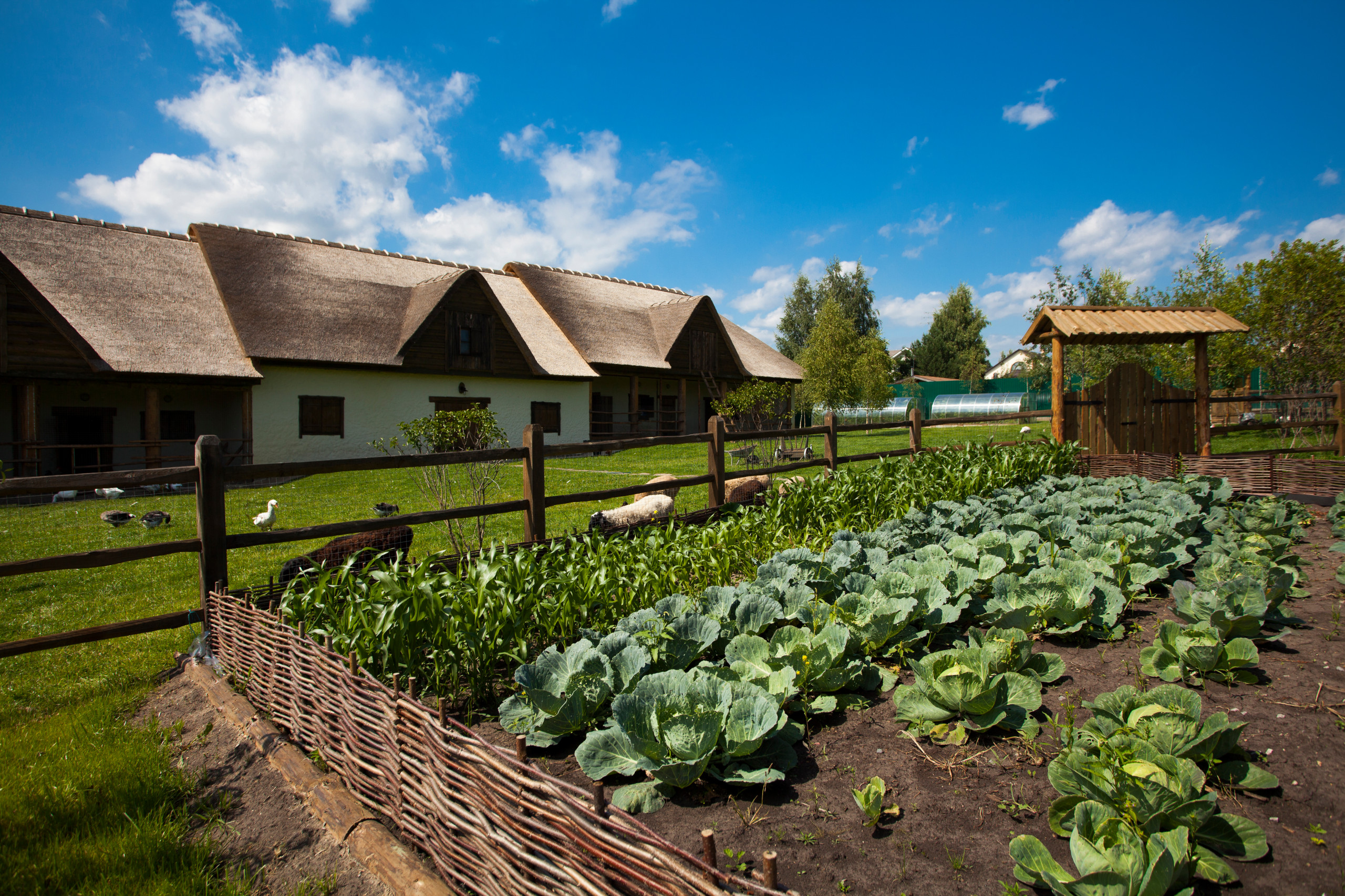 Работы в саду и огороде в сентябре - осенние садовые работы | Houzz Россия