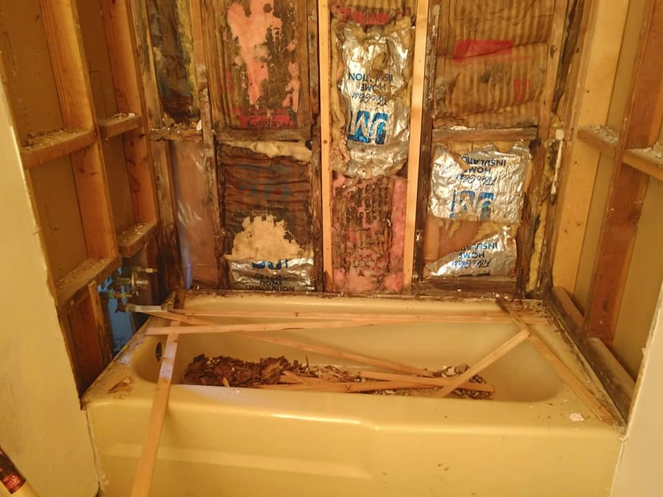 Pickens Bathroom Reno