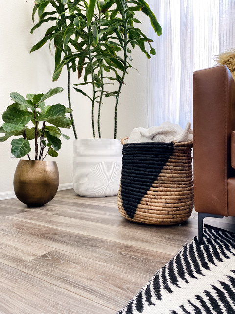 Perez Living & Bath | Aurora, CO | Contemporary Main Floor Remodel