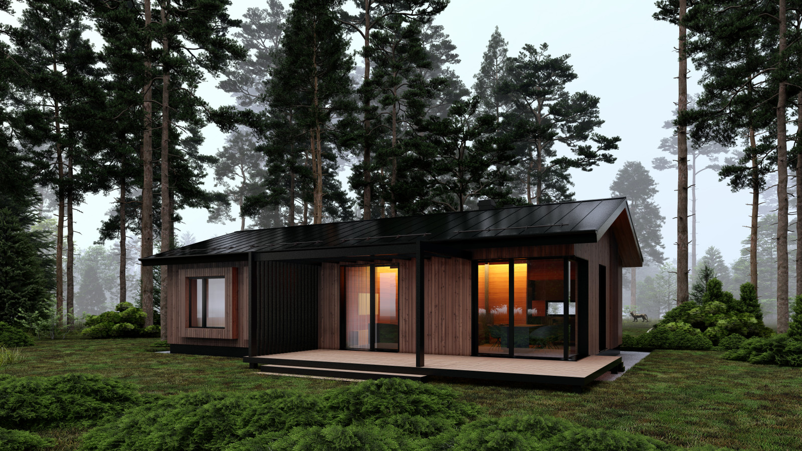 Большой дом для Tiny House