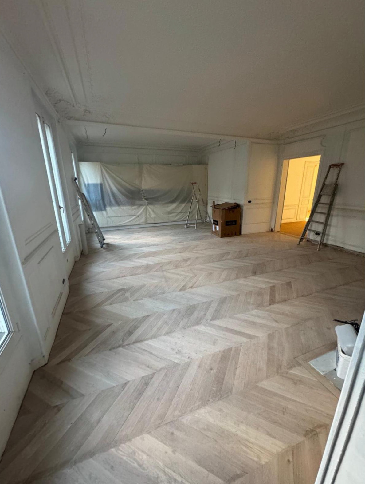 Projet Haussmann - Rénovation complète d'un appartement de 188m2.