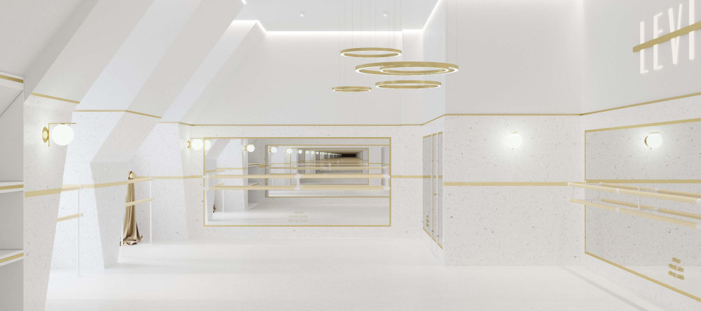 Самая крупная школа балета в России  LEVITA