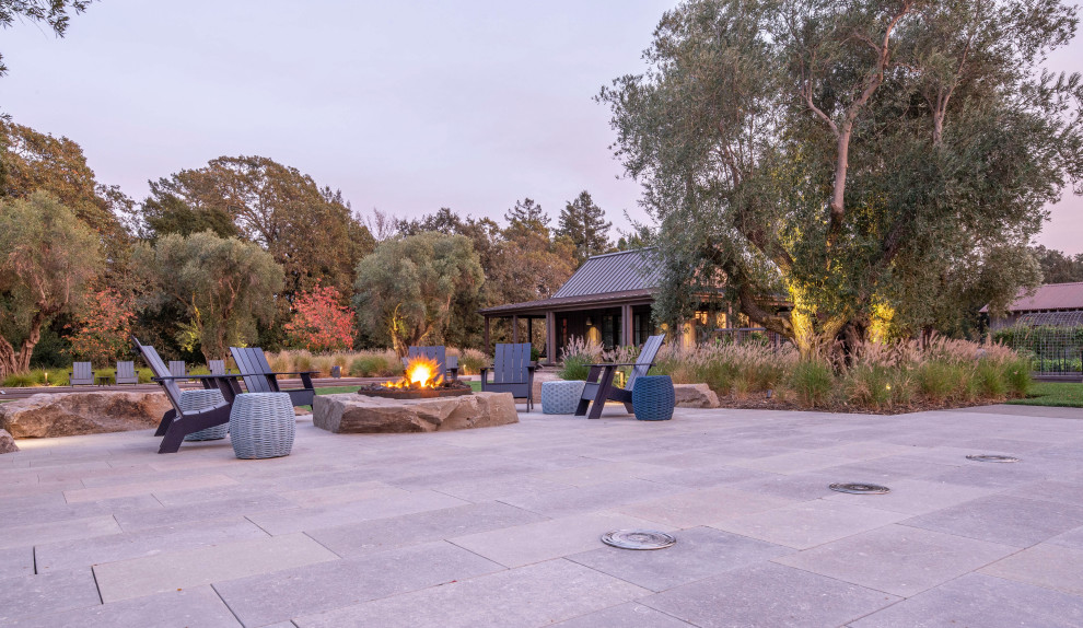 Inspiration for a large modern backyard partial sun xeriscape in San Francisco with a fire feature and concrete pavers.