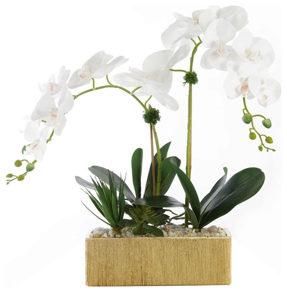 White Orchids, Succulents & Pebbles Flower in Gold Planter