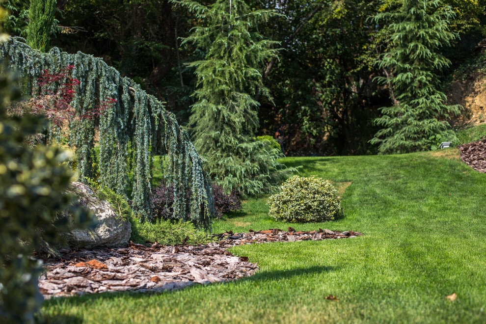 Ландшафтный Дизайн Олимпийский Сочи