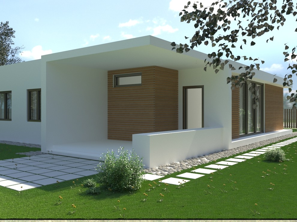 Одноэтажный дом в посёлке Ропша