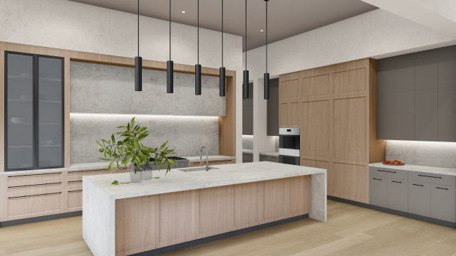 Lincoln transitional kitchen transitional-rendering