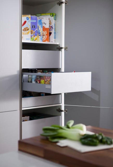 Larder With Pull Out Internal Drawers Contemporary Other By