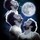 graham_adams
