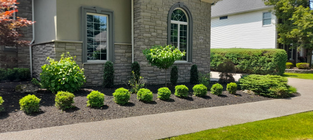 Timeless Elegance american-traditional-garden