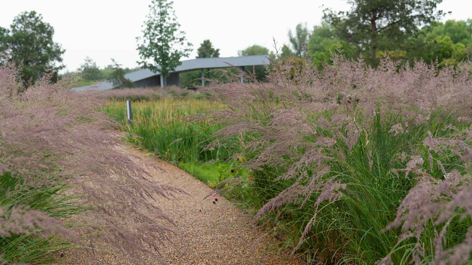 Природный сад. Жуковка XXI век. 2017-2018 гг.