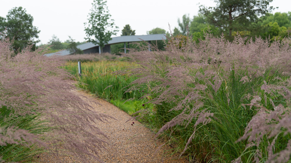Природный сад. Жуковка XXI век. 2017-2018 гг.