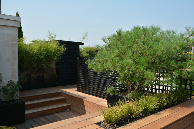 M&Eacute;TAMORPHOSE BLUFFANTE contemporary-deck