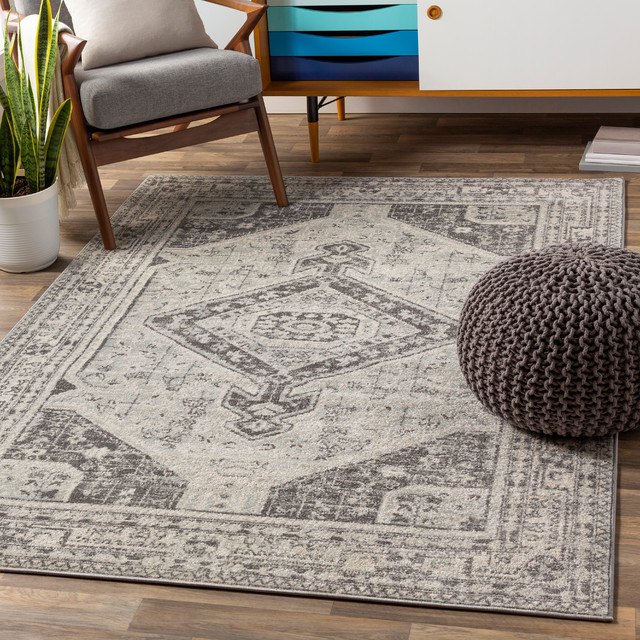 Cecille 2315 Area Rug 7 10 X10 3