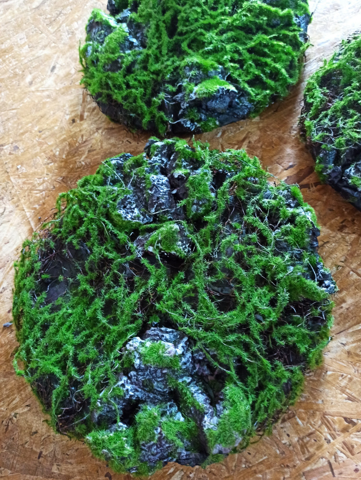 Круглые панно для гостевого дома