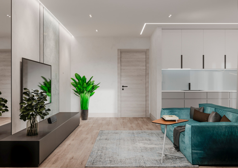 Кухня-гостиная для молодого человека