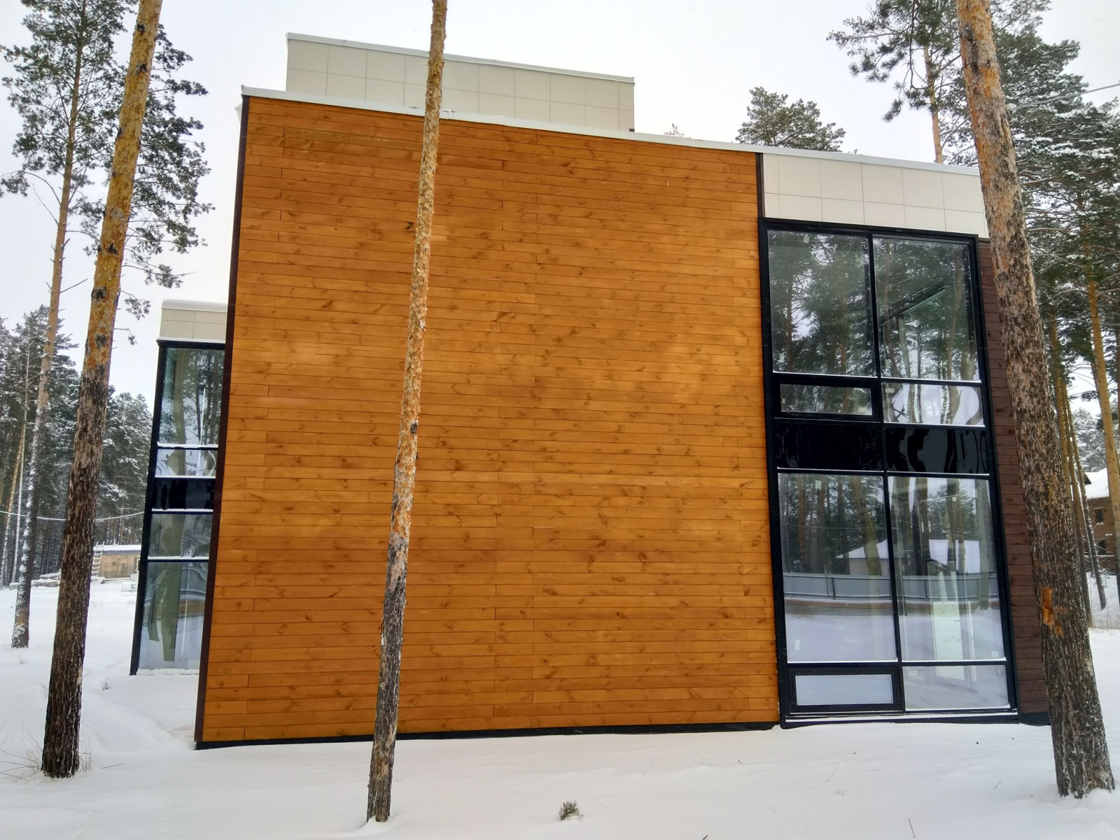 Современный жилой дом для пос. Новая Европа