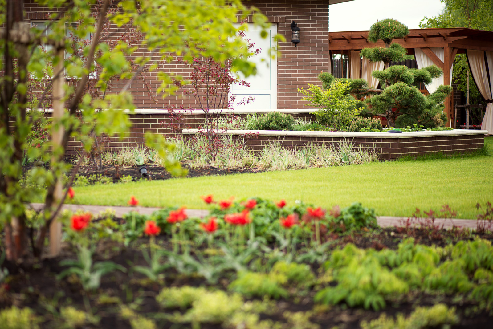 Первая весна в саду "Красный октябрь"