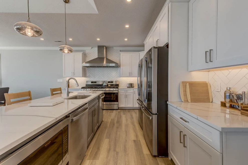 Dolphin Watch (2023)