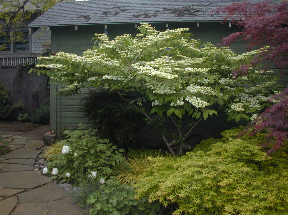 Eclectic garden in Portland.