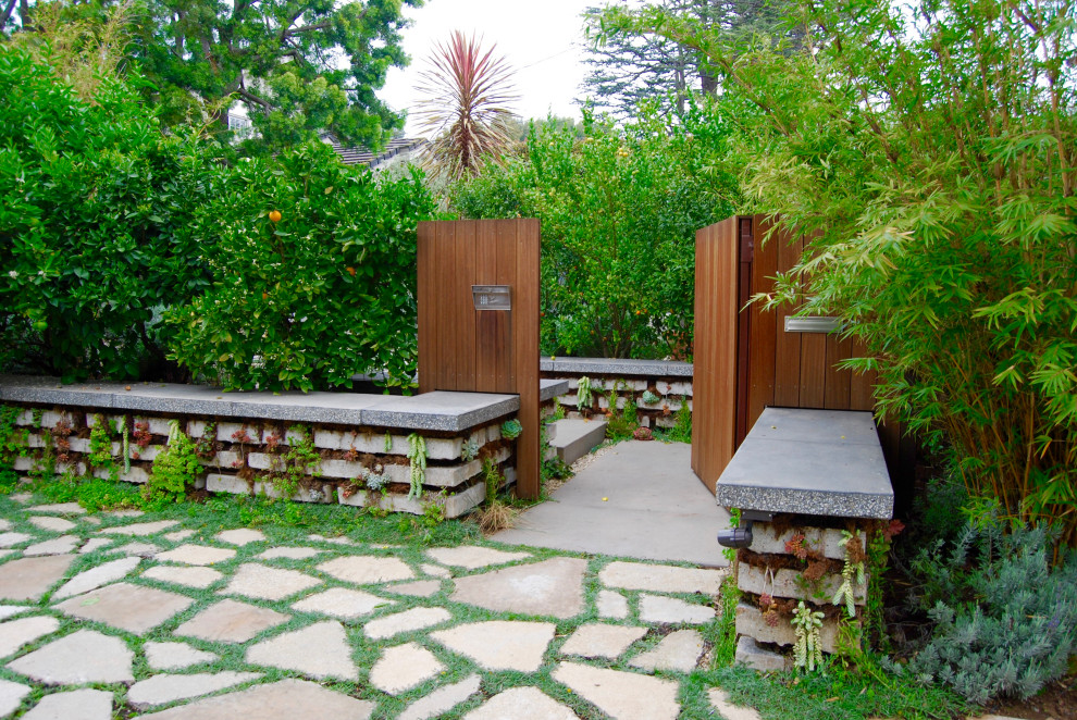 Imagen de jardín de secano minimalista de tamaño medio en patio delantero con jardín vertical, exposición parcial al sol, adoquines de hormigón y con madera