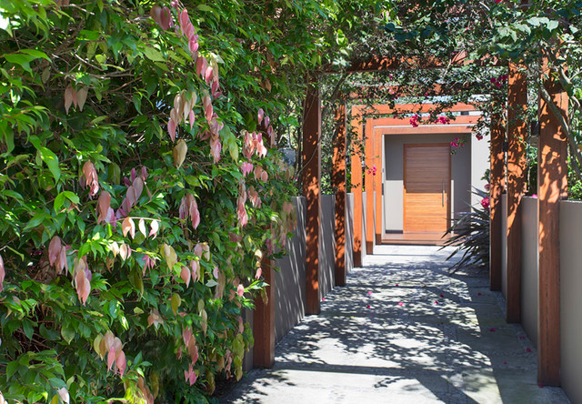 Duffy's Forest Project contemporary-entre