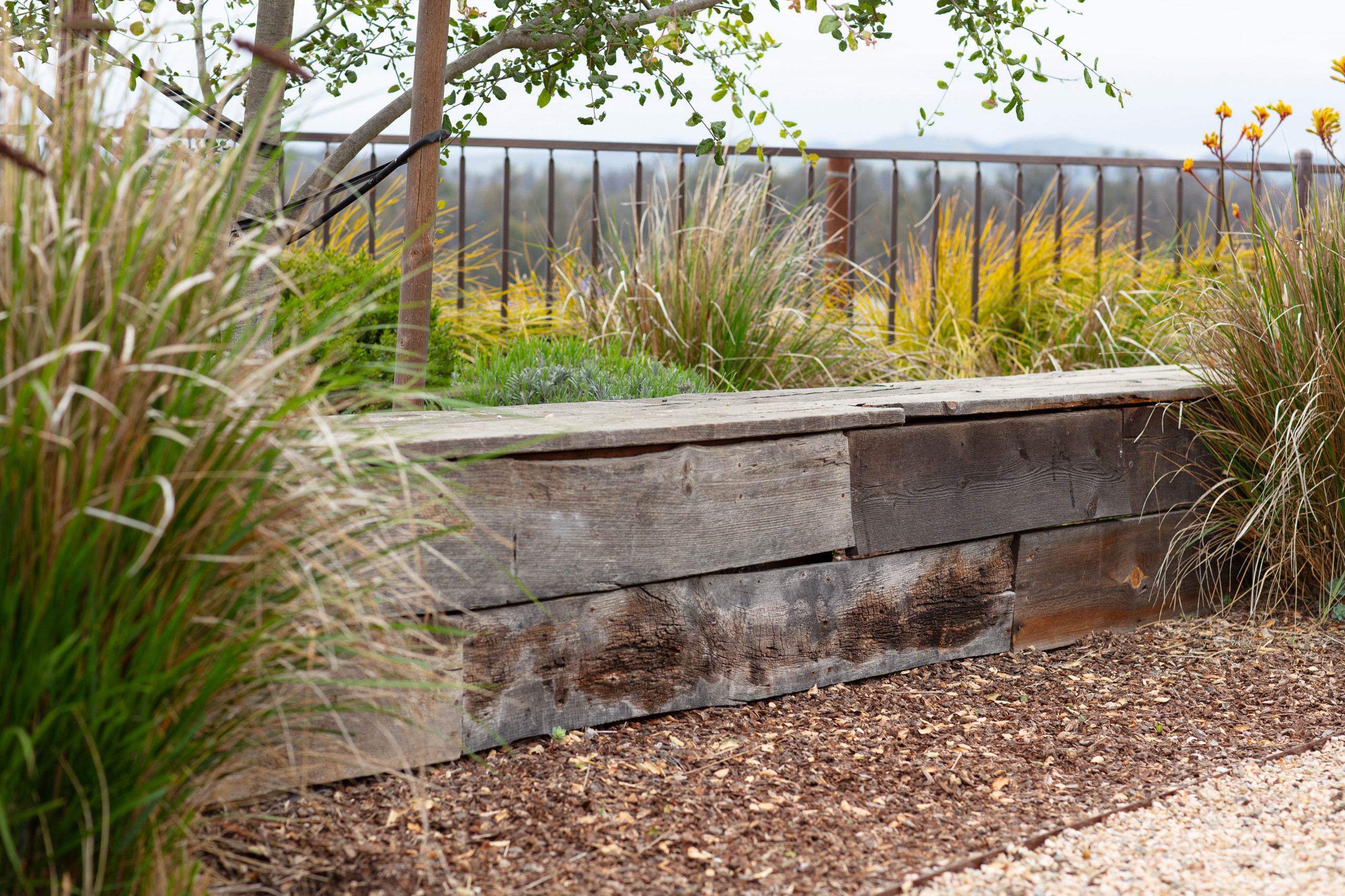 Trilogy Landscape and Outdoor Kitchen