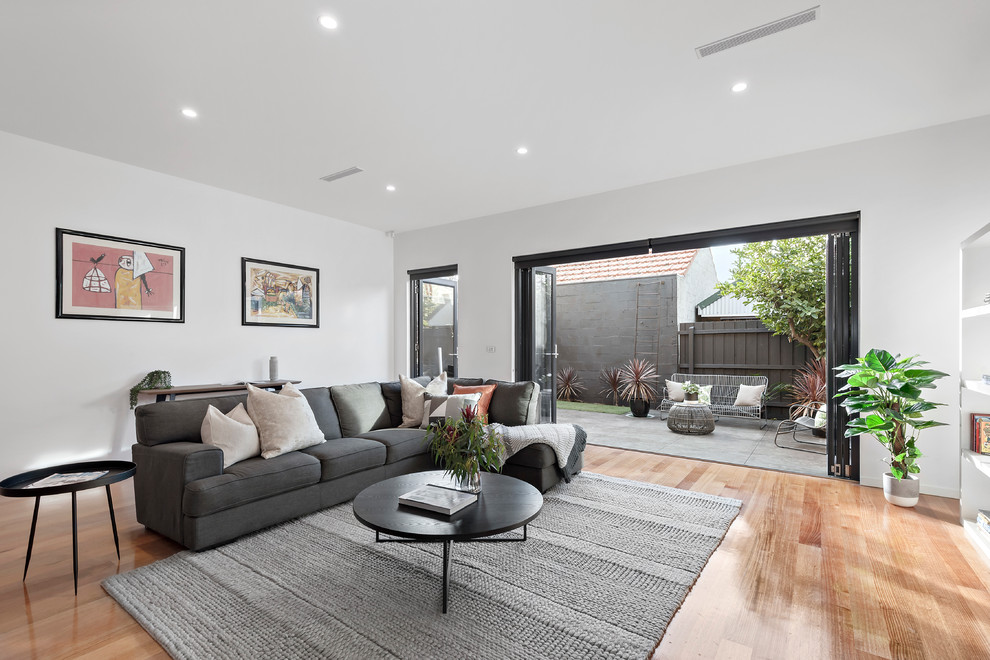 This is an example of a large contemporary open concept living room in Melbourne with white walls, medium hardwood floors and no fireplace.