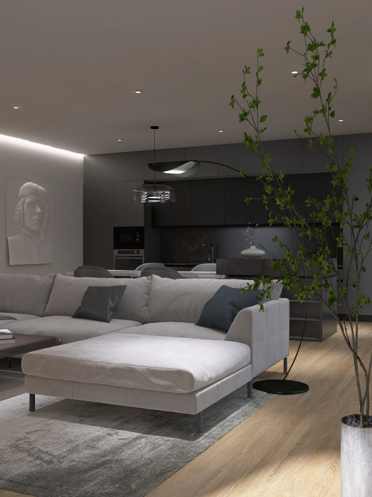 кухня-гостиная