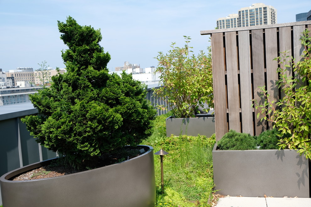 Photo of a small modern rooftop full sun xeriscape for summer in Boston with a container garden and concrete pavers.