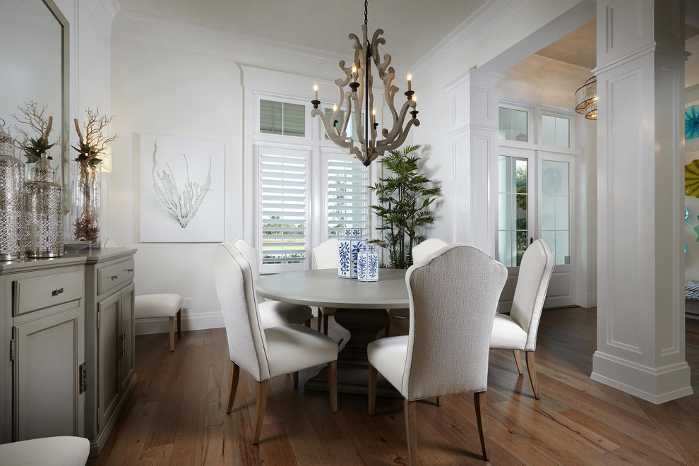 Transitional dining room in Tampa with white walls, medium hardwood floors and no fireplace.