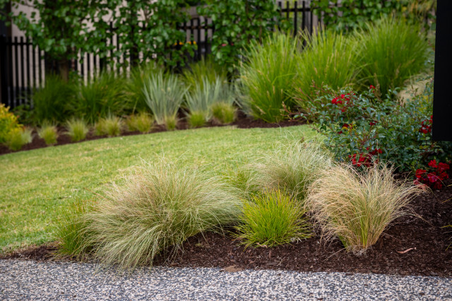 Mixing it up! contemporary-garden